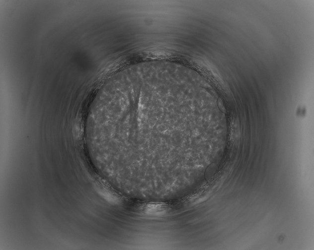 X0000097630173200803281109