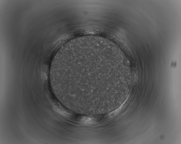 X0000097630174200803281109