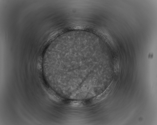 X0000097630175200803281109