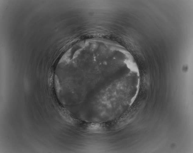 X0000097630177200803281109