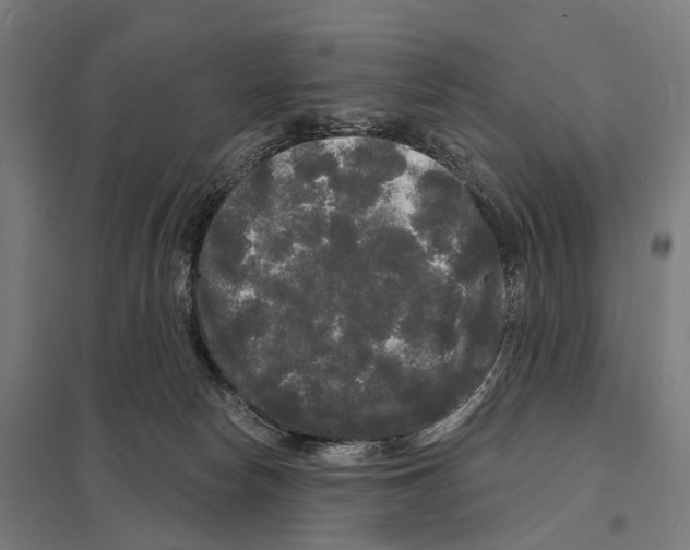 X0000097630178200803281109