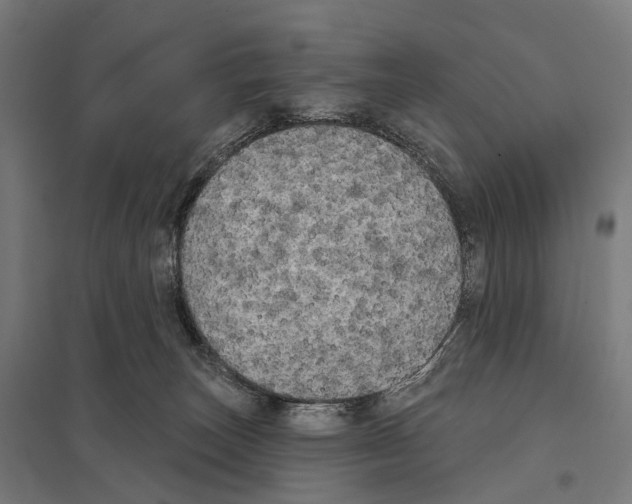 X0000097630179200803281109
