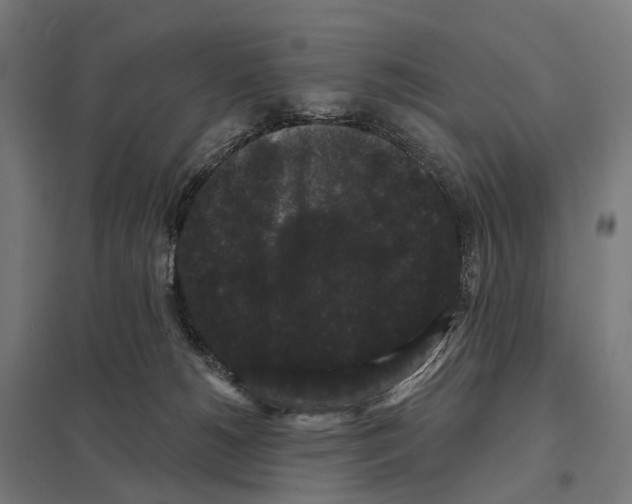 X0000097630180200803281109