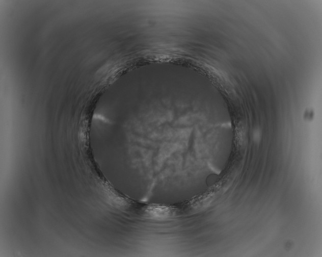 X0000097630181200803281109