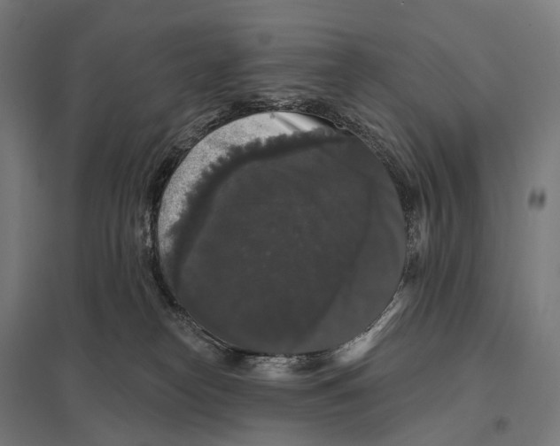 X0000097630182200803281109