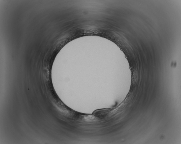 X0000097630183200803281109