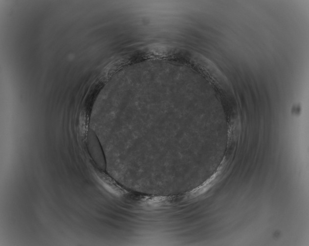 X0000097630186200803281109
