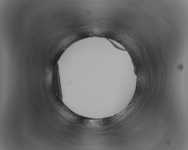 X0000097630188200803281109