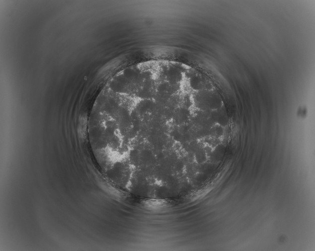 X0000097630189200803281109