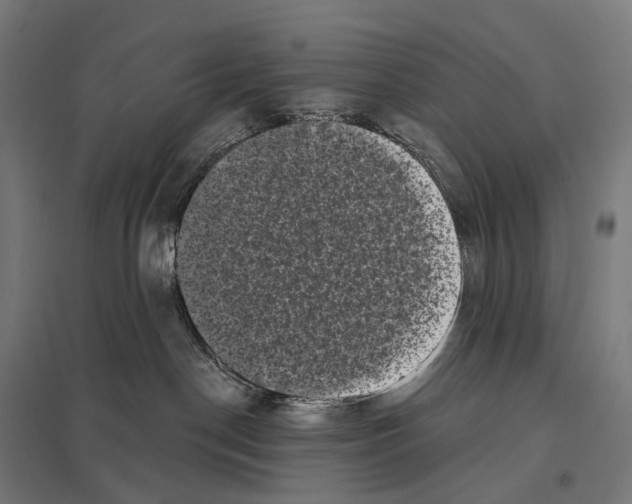 X0000097630190200803281109