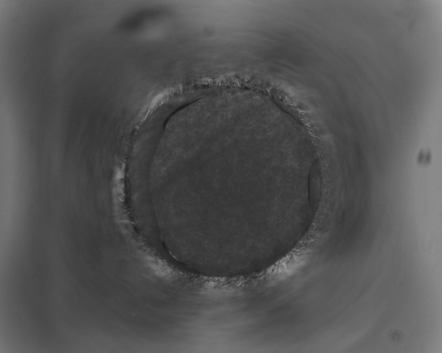 X0000097630192200803281109