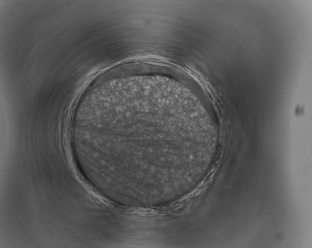X0000097630193200803281108