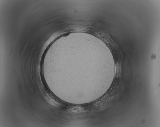 X0000097630195200803281108