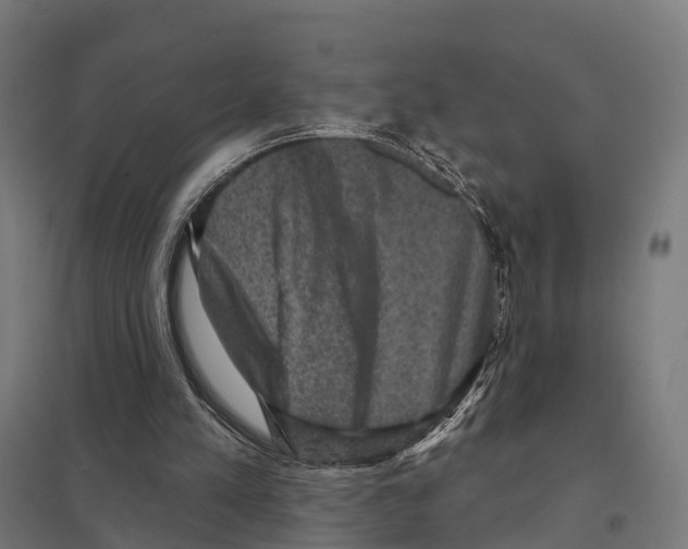 X0000097630197200803281108
