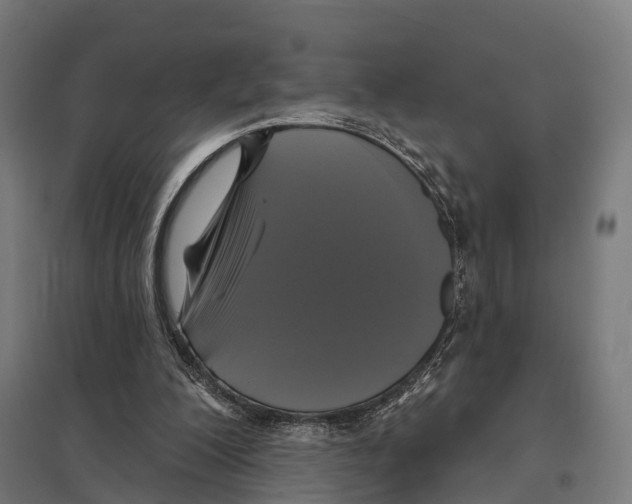X0000097630200200803281108