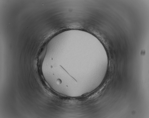 X0000097630201200803281108