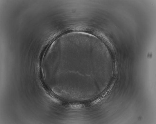 X0000097630202200803281108