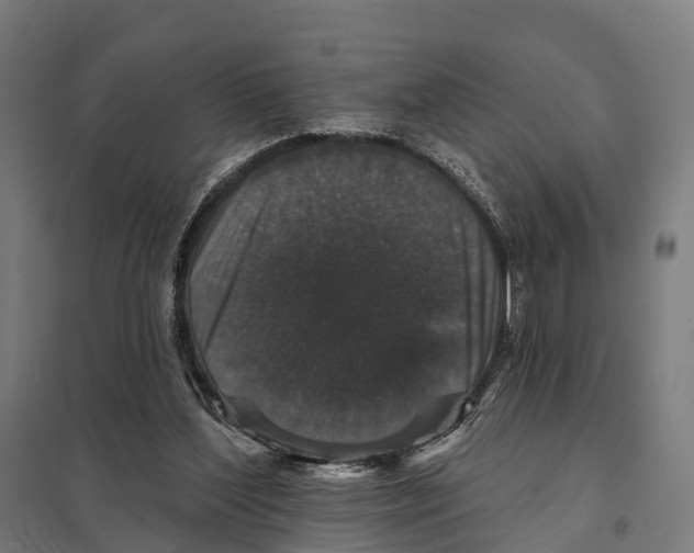 X0000097630204200803281108