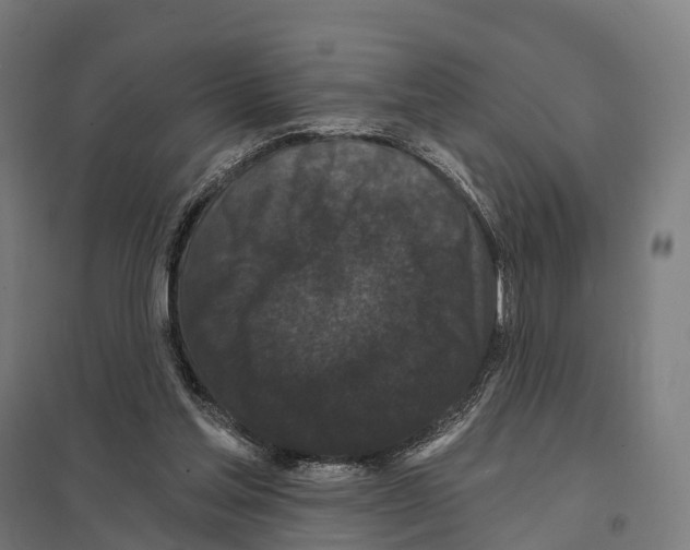 X0000097630205200803281108