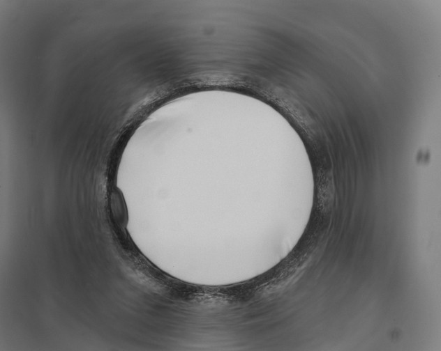 X0000097630207200803281108
