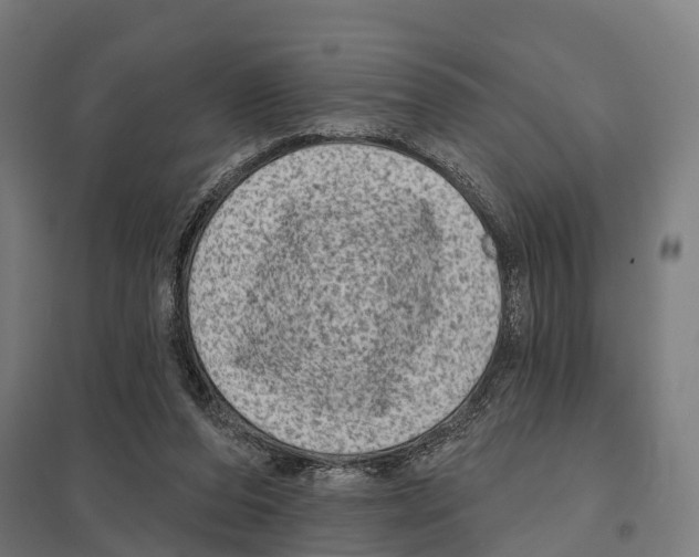 X0000097630208200803281108