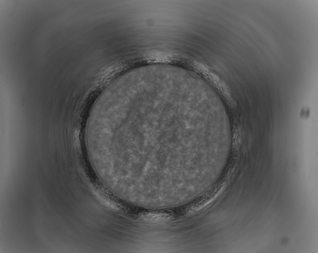 X0000097630209200803281108
