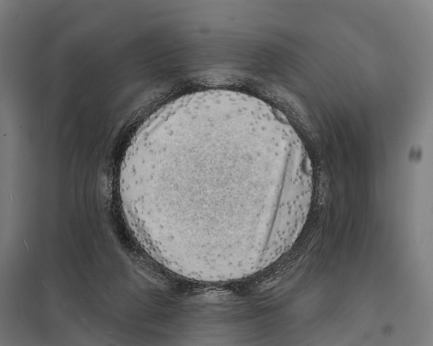 X0000097630210200803281108