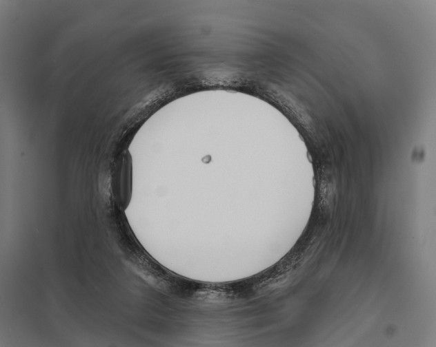 X0000097630211200803281108