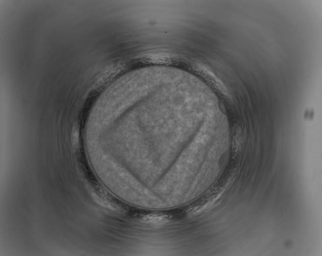 X0000097630213200803281108