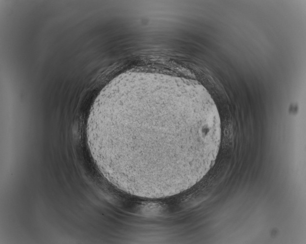 X0000097630218200803281108