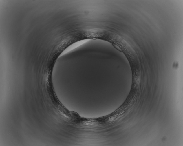X0000097630219200803281108