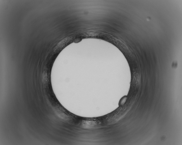 X0000097630220200803281108