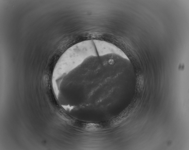 X0000097630222200803281108