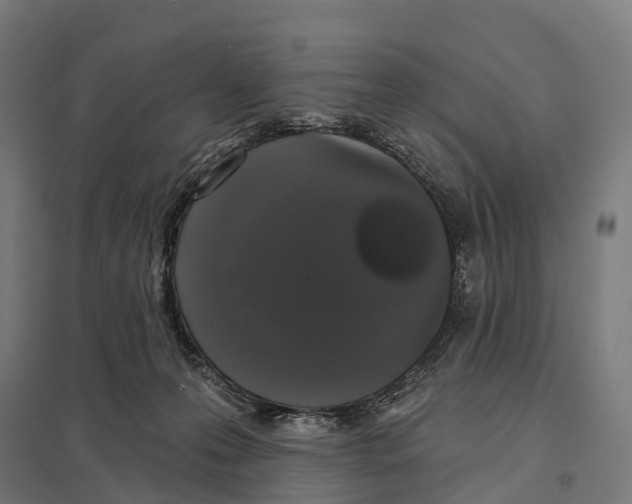 X0000097630223200803281108