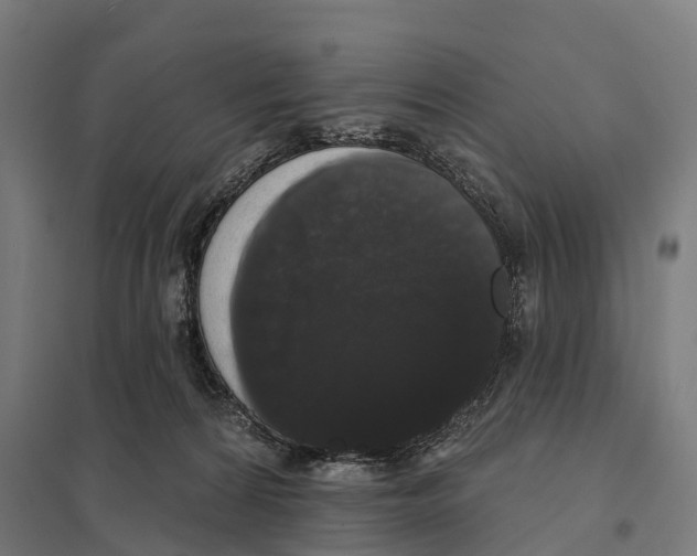 X0000097630224200803281108