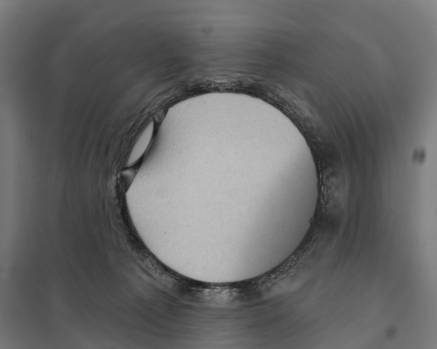 X0000097630225200803281108