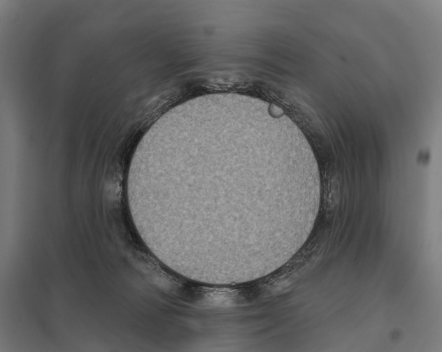 X0000097630226200803281108