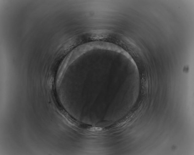 X0000097630227200803281108