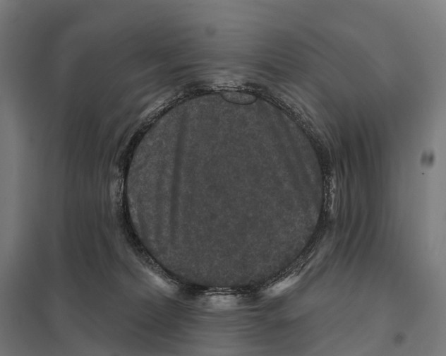 X0000097630228200803281108