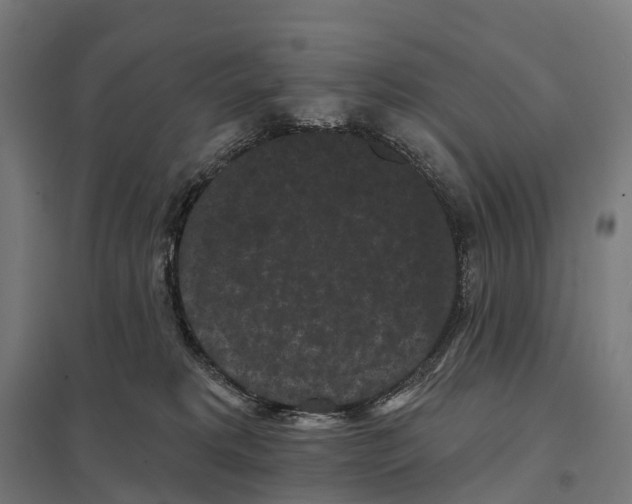 X0000097630229200803281108