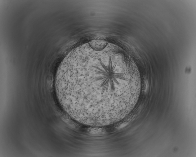 X0000097630230200803281108