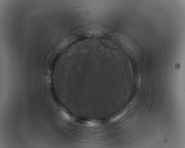 X0000097630232200803281108