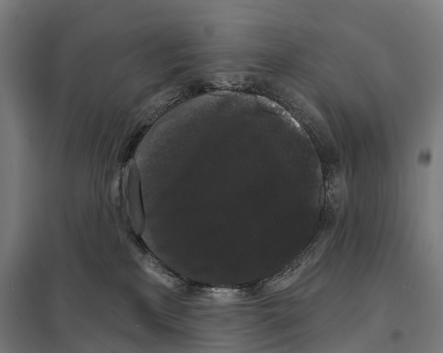 X0000097630233200803281108