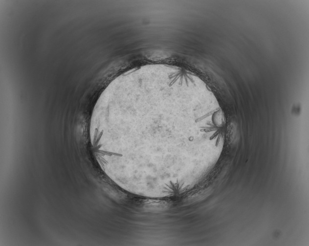 X0000097630234200803281108