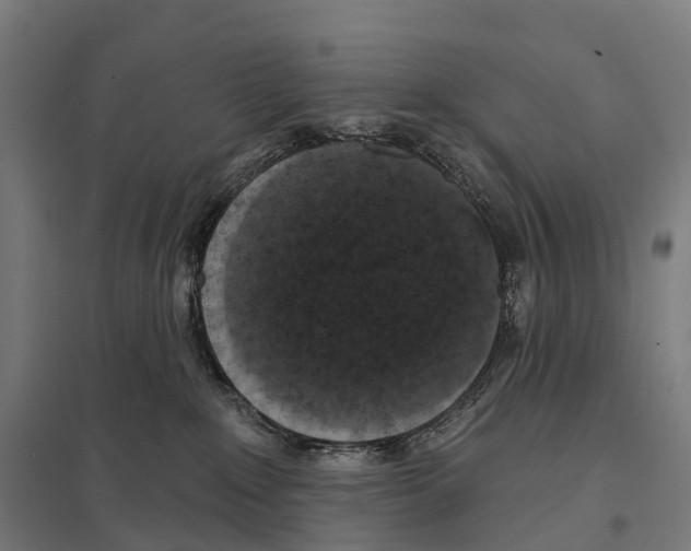 X0000097630235200803281108
