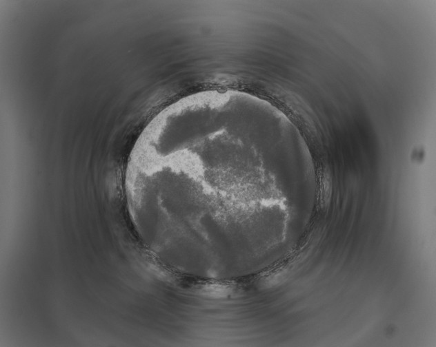 X0000097630236200803281108