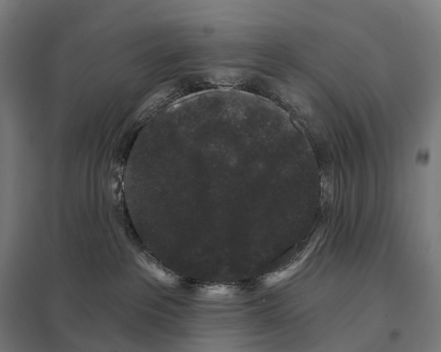 X0000097630237200803281108