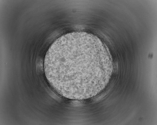 X0000097630238200803281108