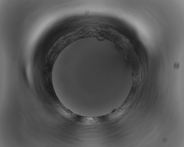 X0000097630239200803281108