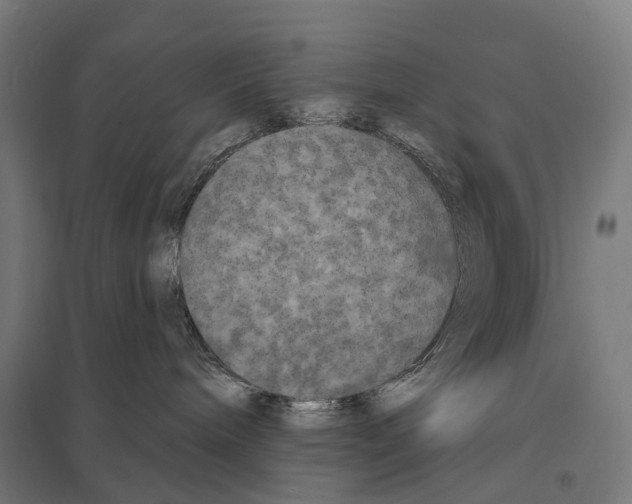 X0000097630240200803281108